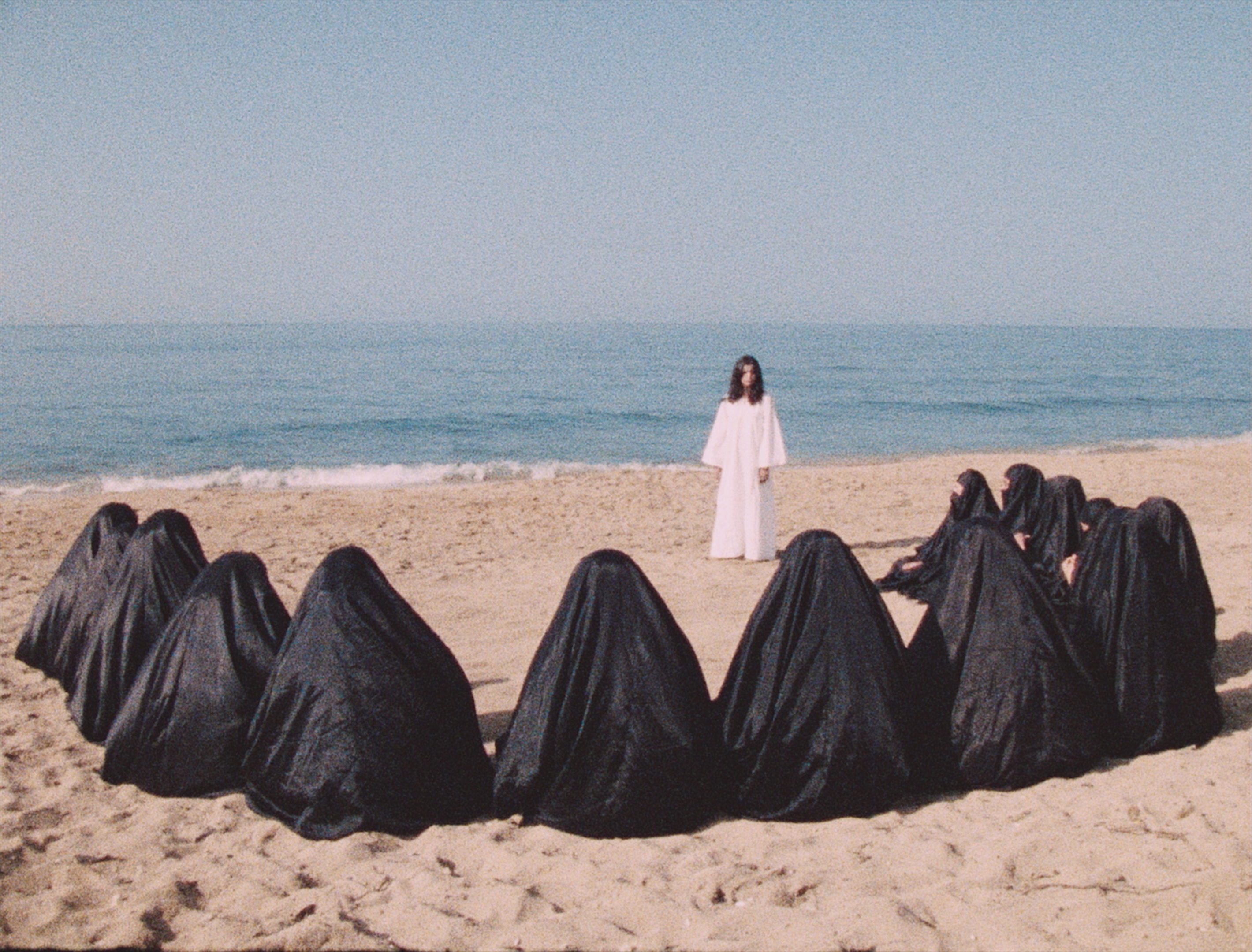 Leila and the Wolves