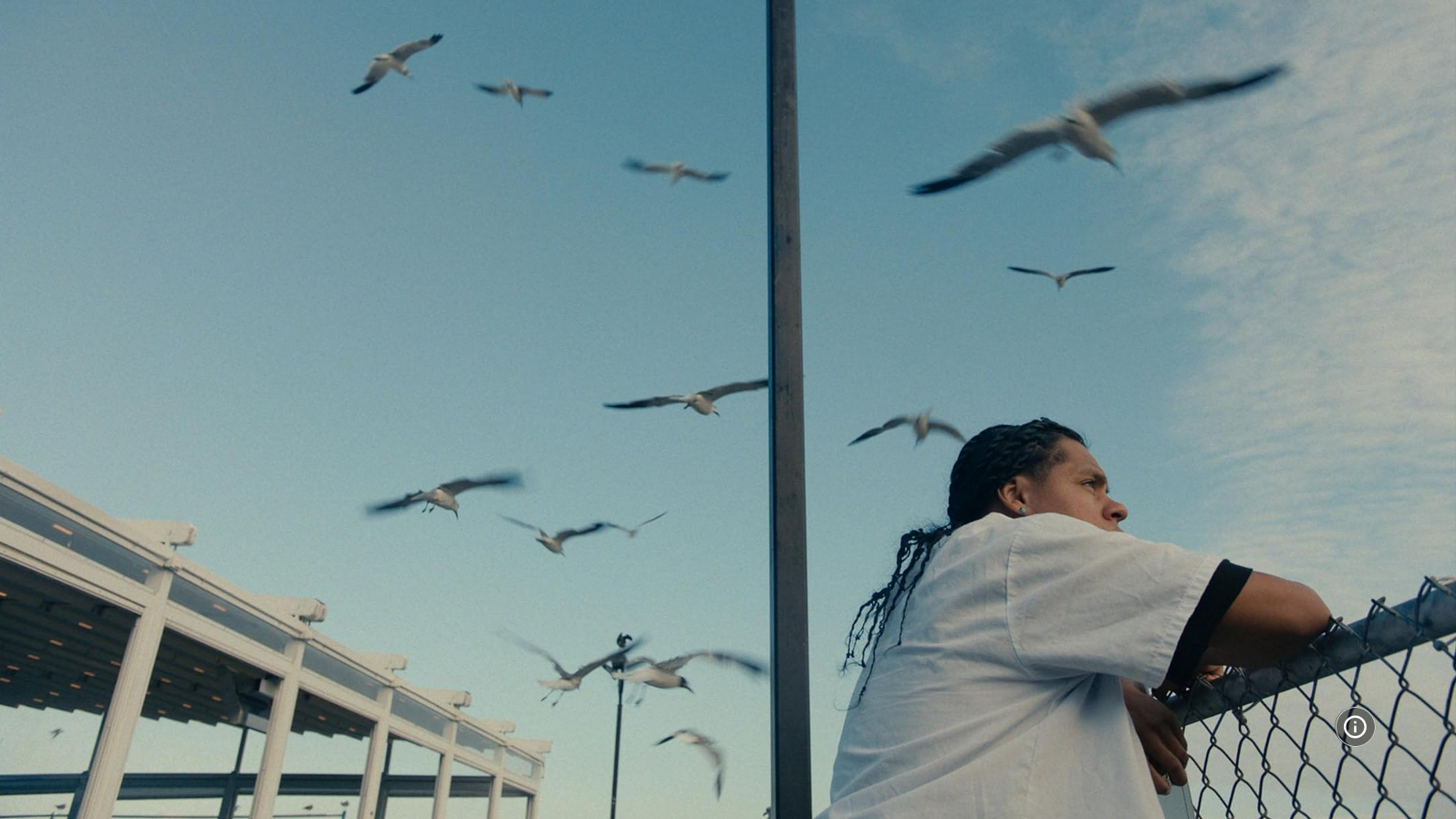 Mad Bills to Pay (or Destiny dile que no soy malo)